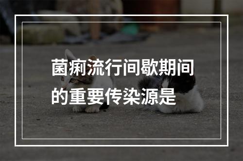 菌痢流行间歇期间的重要传染源是