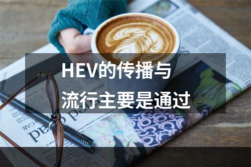 HEV的传播与流行主要是通过