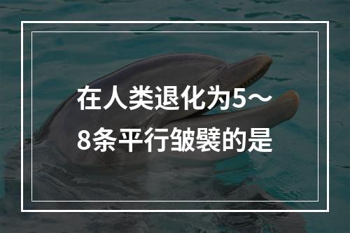 在人类退化为5～8条平行皱襞的是