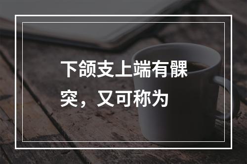 下颌支上端有髁突，又可称为