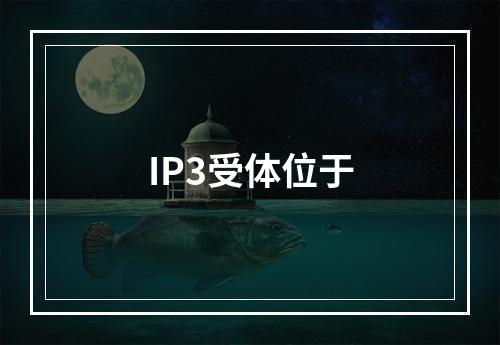 IP3受体位于