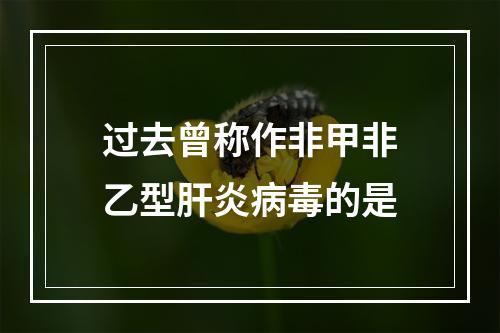 过去曾称作非甲非乙型肝炎病毒的是