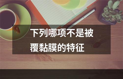 下列哪项不是被覆黏膜的特征