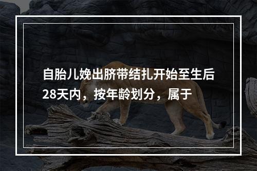 自胎儿娩出脐带结扎开始至生后28天内，按年龄划分，属于