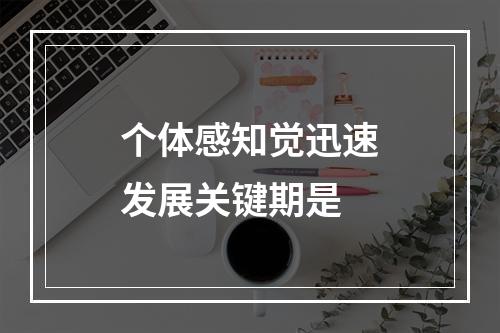 个体感知觉迅速发展关键期是