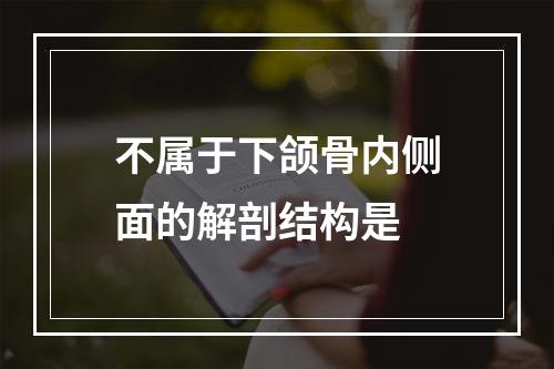 不属于下颌骨内侧面的解剖结构是