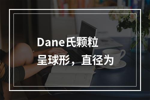 Dane氏颗粒呈球形，直径为