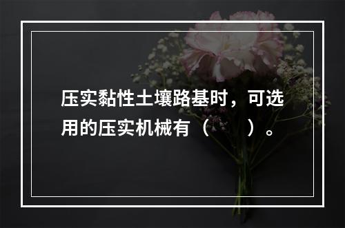 压实黏性土壤路基时，可选用的压实机械有（　　）。