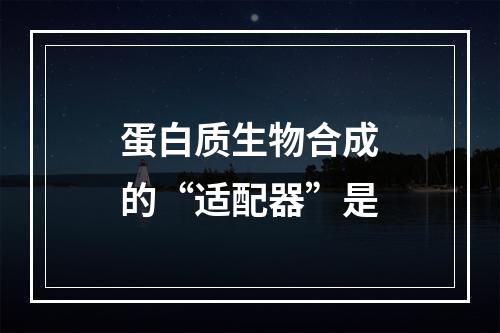 蛋白质生物合成的“适配器”是