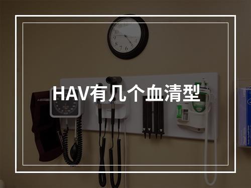 HAV有几个血清型