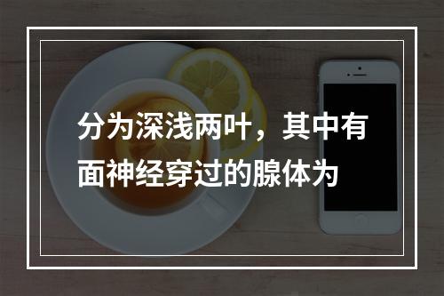 分为深浅两叶，其中有面神经穿过的腺体为