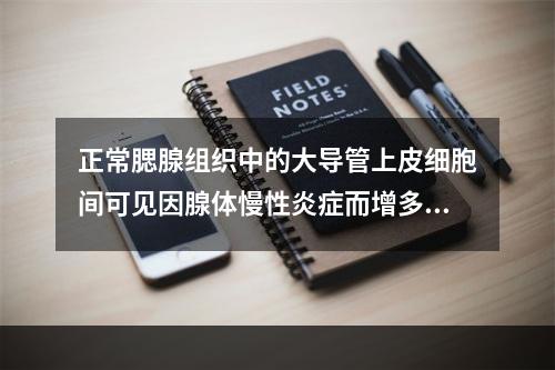 正常腮腺组织中的大导管上皮细胞间可见因腺体慢性炎症而增多的哪