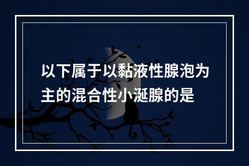 以下属于以黏液性腺泡为主的混合性小涎腺的是