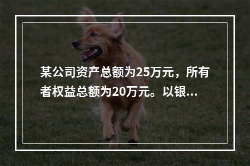 某公司资产总额为25万元，所有者权益总额为20万元。以银行存