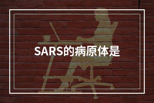 SARS的病原体是