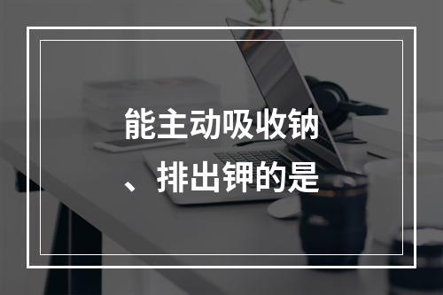 能主动吸收钠、排出钾的是