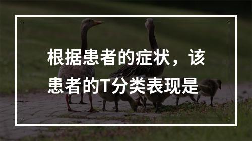 根据患者的症状，该患者的T分类表现是