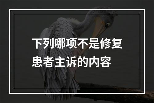 下列哪项不是修复患者主诉的内容