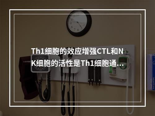 Th1细胞的效应增强CTL和NK细胞的活性是Th1细胞通过产