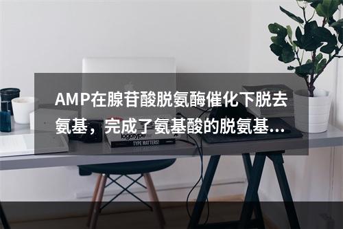 AMP在腺苷酸脱氨酶催化下脱去氨基，完成了氨基酸的脱氨基作用