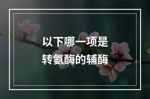 以下哪一项是转氨酶的辅酶