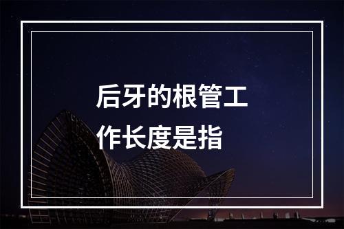 后牙的根管工作长度是指