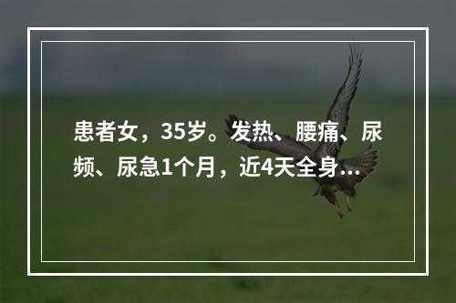 患者女，35岁。发热、腰痛、尿频、尿急1个月，近4天全身关节