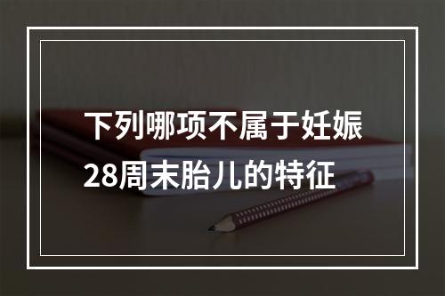 下列哪项不属于妊娠28周末胎儿的特征