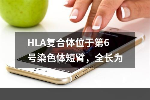 HLA复合体位于第6号染色体短臂，全长为