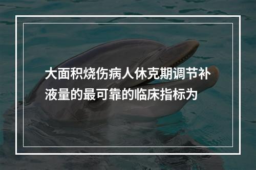 大面积烧伤病人休克期调节补液量的最可靠的临床指标为