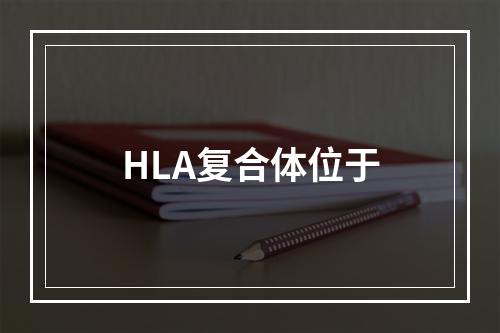 HLA复合体位于