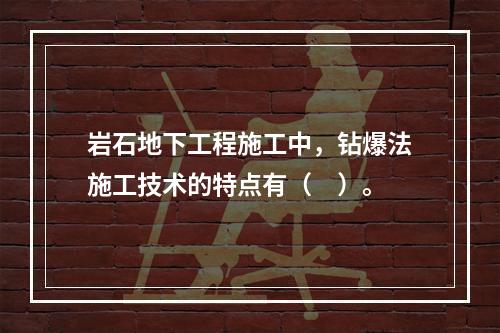 岩石地下工程施工中，钻爆法施工技术的特点有（　）。