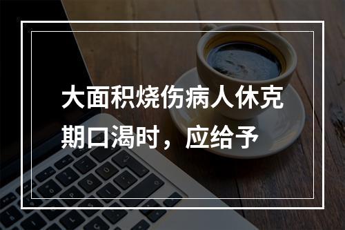 大面积烧伤病人休克期口渴时，应给予