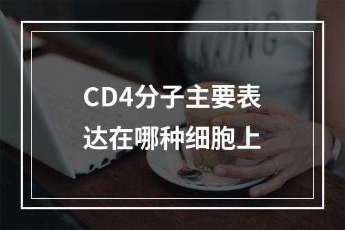 CD4分子主要表达在哪种细胞上