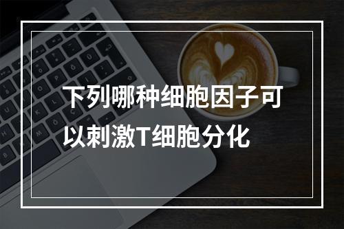 下列哪种细胞因子可以刺激T细胞分化