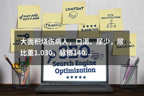 大面积烧伤病人，口渴、尿少，尿比重1.030，脉搏140次/