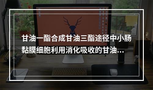 甘油一酯合成甘油三酯途径中小肠黏膜细胞利用消化吸收的甘油一酯