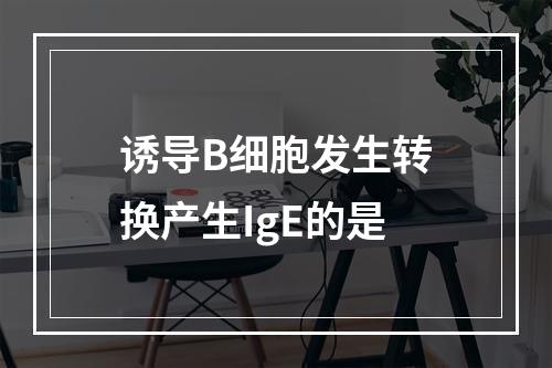 诱导B细胞发生转换产生IgE的是