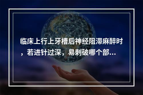 临床上行上牙槽后神经阻滞麻醉时，若进针过深，易刺破哪个部位而