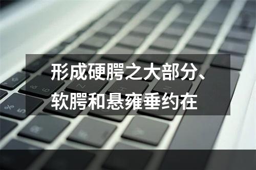 形成硬腭之大部分、软腭和悬雍垂约在