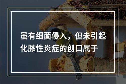 虽有细菌侵入，但未引起化脓性炎症的创口属于