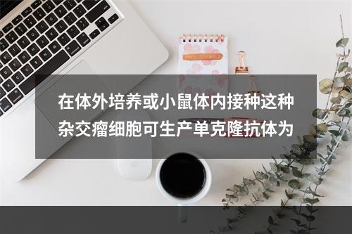 在体外培养或小鼠体内接种这种杂交瘤细胞可生产单克隆抗体为