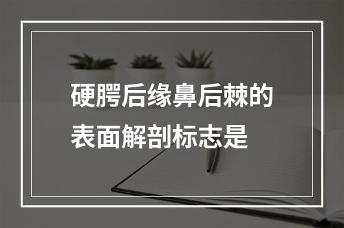 硬腭后缘鼻后棘的表面解剖标志是