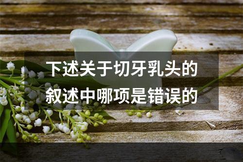 下述关于切牙乳头的叙述中哪项是错误的