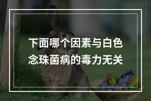 下面哪个因素与白色念珠菌病的毒力无关