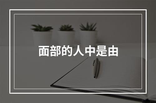 面部的人中是由