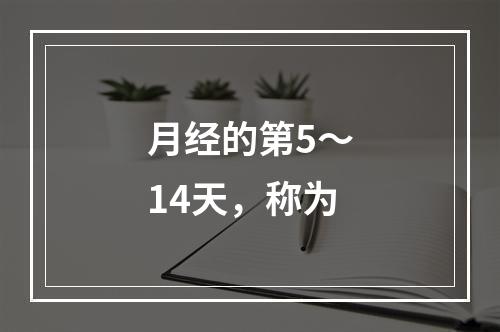 月经的第5～14天，称为