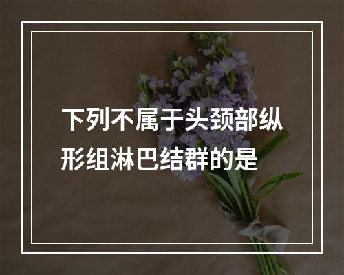 下列不属于头颈部纵形组淋巴结群的是