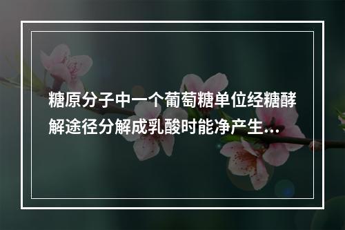 糖原分子中一个葡萄糖单位经糖酵解途径分解成乳酸时能净产生多少