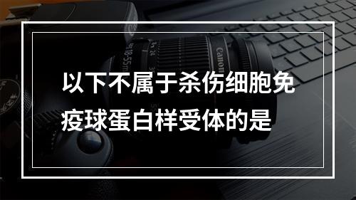 以下不属于杀伤细胞免疫球蛋白样受体的是